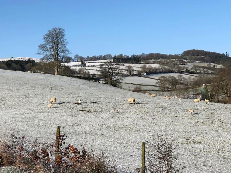 5F Stanley Lodge, Caer Beris, Builth Wells - No Tradesman Exterior photo